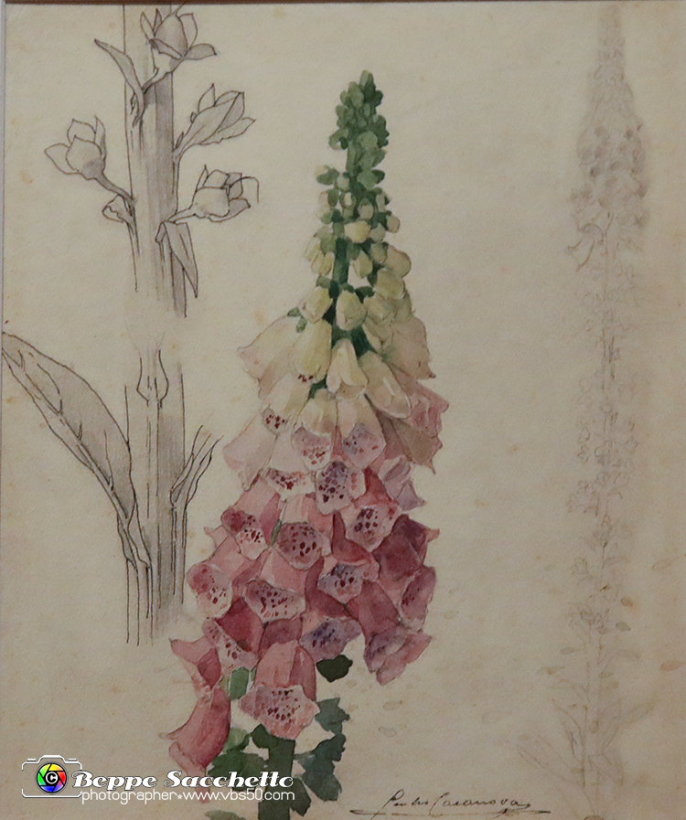 VBS_1214 - Camillo Boito - L'Arte Italiana e l'Ornamento Floreale 1898.jpg